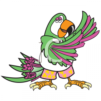 Parrot Clipart