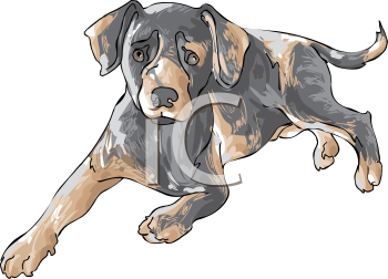 Leopard Clipart