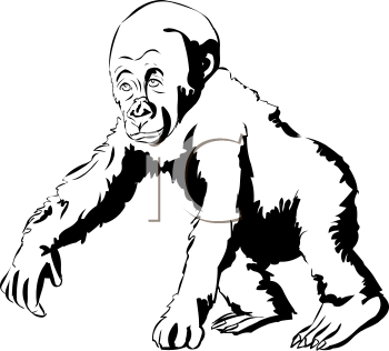 Gorilla Clipart