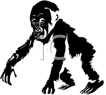 Gorilla Clipart