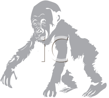 Gorilla Clipart