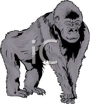 Gorilla Clipart