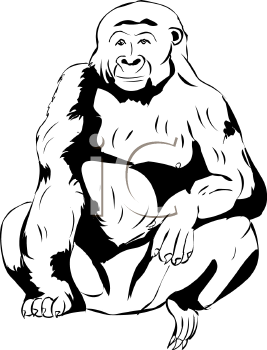 Gorilla Clipart