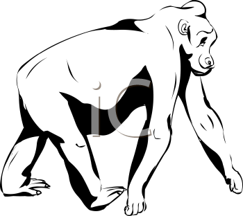 Gorilla Clipart