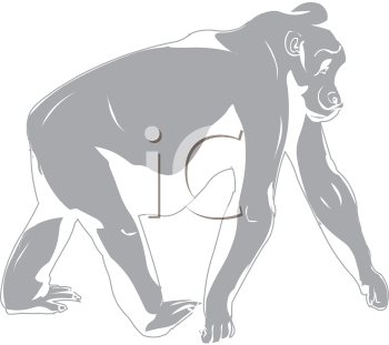 Gorilla Clipart