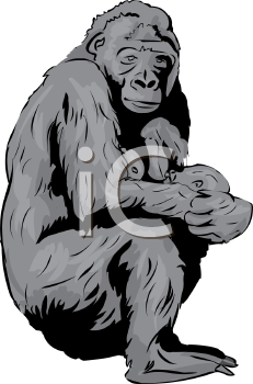 Gorilla Clipart