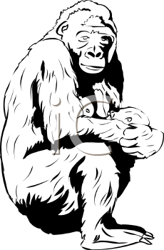 Gorilla Clipart