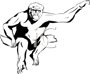 Gorilla Clipart