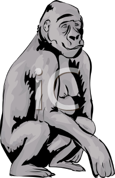 Gorilla Clipart