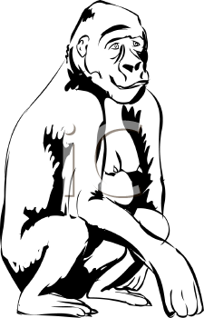 Gorilla Clipart