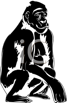 Gorilla Clipart