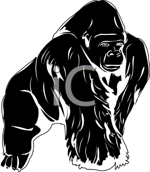 Gorilla Clipart