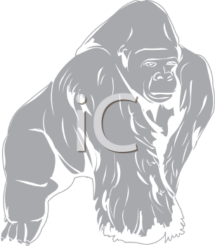 Gorilla Clipart