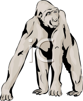 Gorilla Clipart