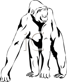 Gorilla Clipart