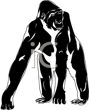 Gorilla Clipart