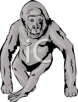 Gorilla Clipart