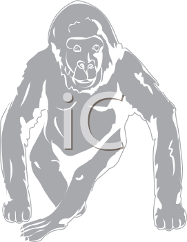 Gorilla Clipart