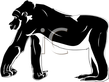 Gorilla Clipart