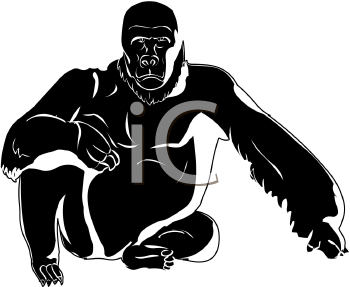 Gorilla Clipart