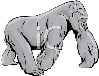 Gorilla Clipart