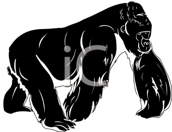 Gorilla Clipart