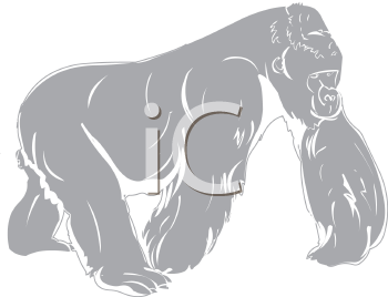 Gorilla Clipart