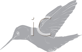 Hummingbird Clipart