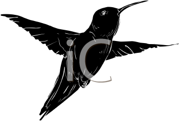 Hummingbird Clipart