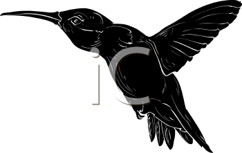 Hummingbird Clipart