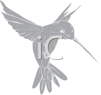 Hummingbird Clipart