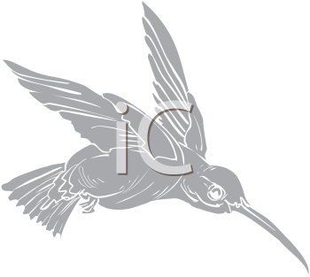 Hummingbird Clipart