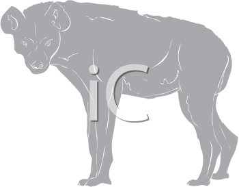 Hyena Clipart