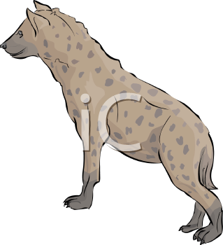 Hyena Clipart