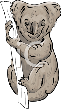 Koala Clipart