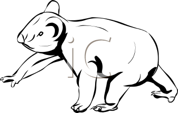 Koala Clipart