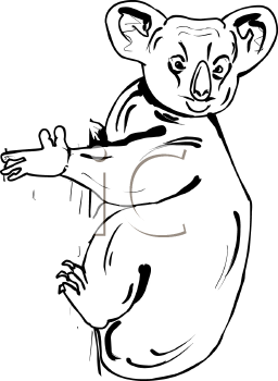 Koala Clipart