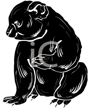 Koala Clipart