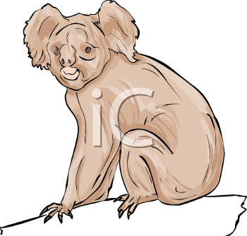 Koala Clipart