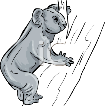 Koala Clipart