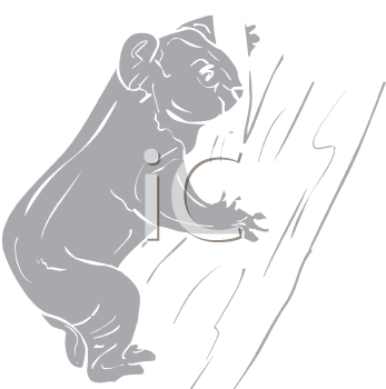 Koala Clipart