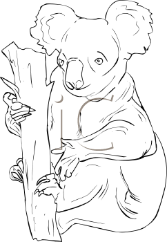 Koala Clipart