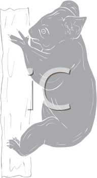 Koala Clipart