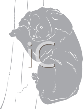 Koala Clipart