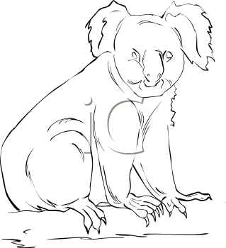 Koala Clipart