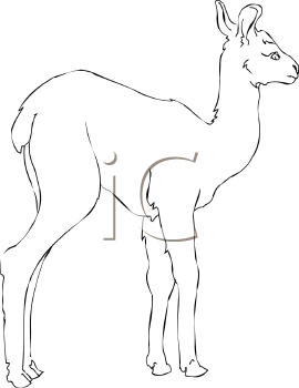 Llama Clipart