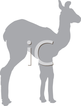 Llama Clipart