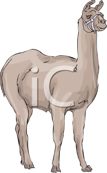 Llama Clipart