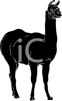 Llama Clipart