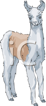 Llama Clipart